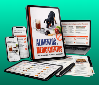 Mockup alimentos y medicamentos prohibidos